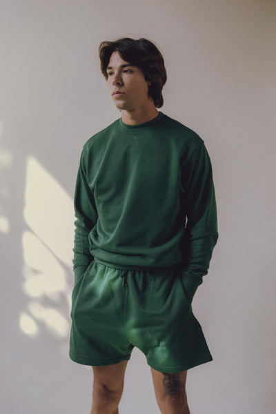 Vitals Crewneck Sweatshirt [Pine]